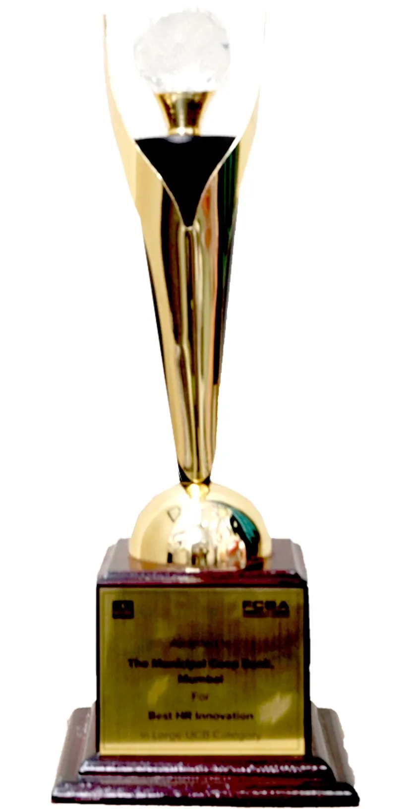 Award Image